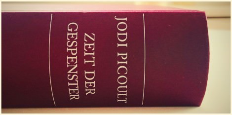 Zeit der Gespenster_Jodi Picoult