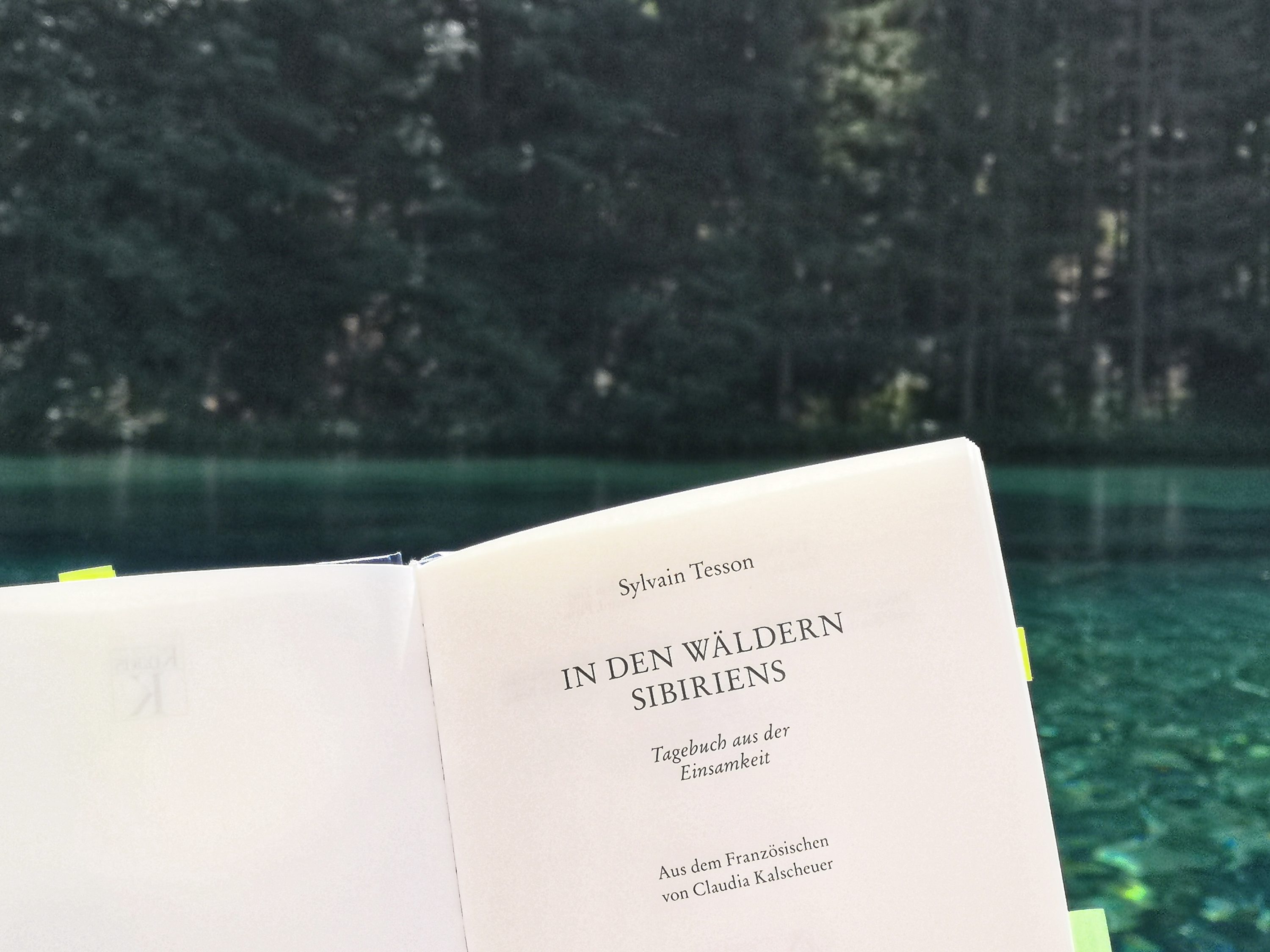 Sylvain Tesson: „In den Wäldern Sibiriens: Tagebuch aus der Einsamkeit“