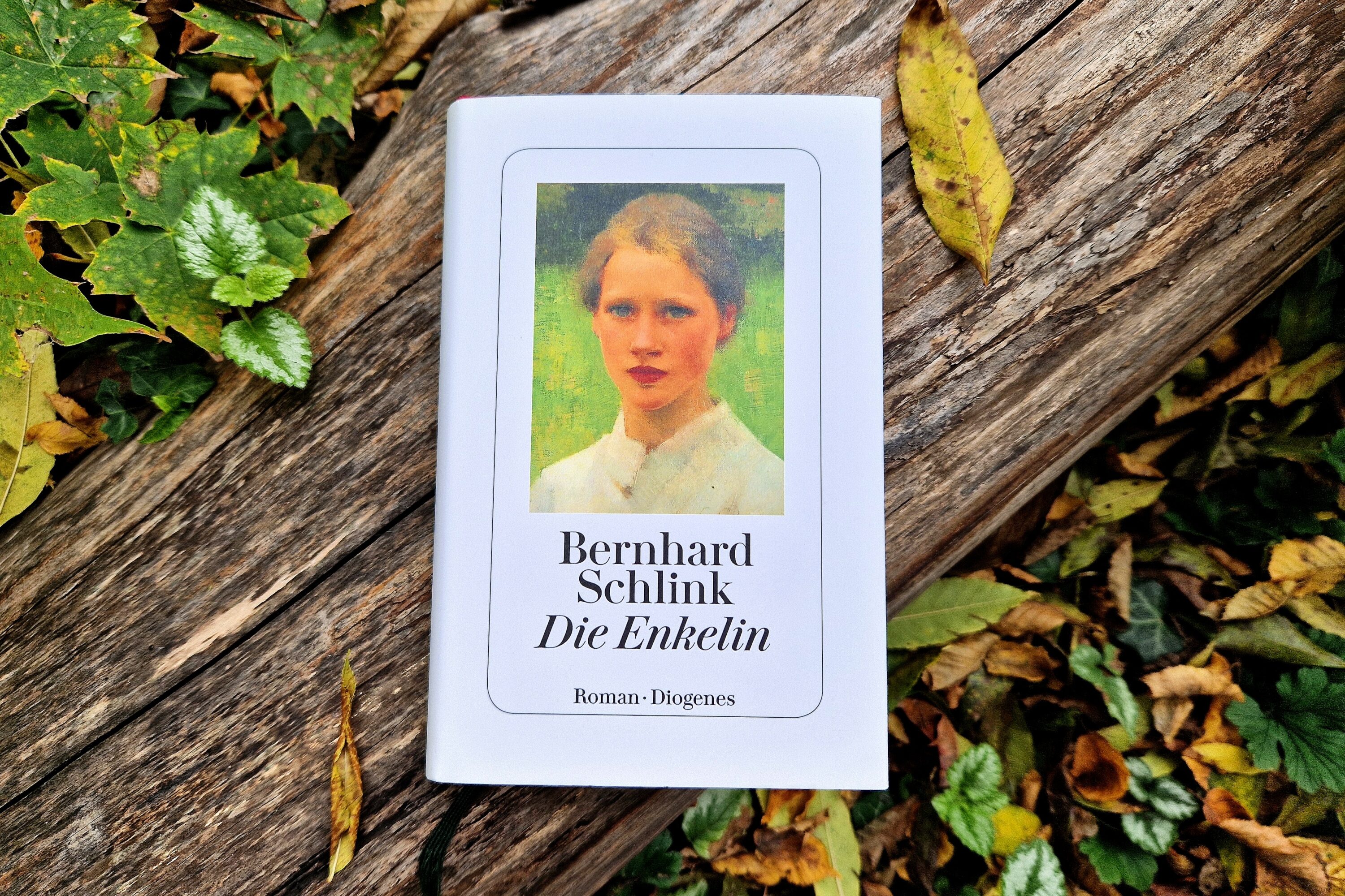 Bernhard Schlink: „Die Enkelin“